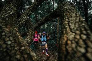 BIB: 
                            <button type="button" onclick="openModal(25672835)" class="btn btn-primary btn-sm float-right btn-popup" data-toggle="modal" data-target=".modal-high-quality">
                        <i class="fas fa-shopping-cart"></i> Add to Cart
                    </button>
                                            <button type="button" onclick="isThisMe(25672835, true)" class="btn btn-success btn-sm float-right btn-popup btn-isme hidden" data-toggle="tooltip" data-placement="bottom" title="นี่คือรูปของคุณใช่ไหม คลิกที่นี่เพื่อเอาเข้าอัลบั้ม">
                        <i class="fas fa-plus"></i> Add to album
                    </button>
                    <button type="button" onclick="isThisMe(25672835, false)" class="btn btn-warning btn-sm float-right btn-popup btn-isnotme hidden">
                        <i class="fas fa-ban"></i> Remove from album
                    </button>